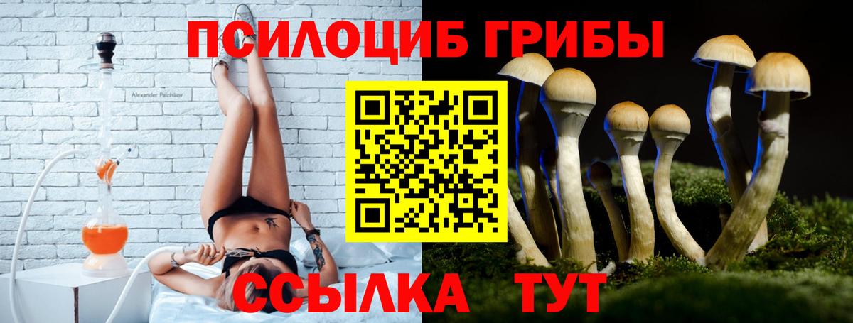 Ступино  Псилоцибиновые грибы прущие грибы  Вход с VPN 